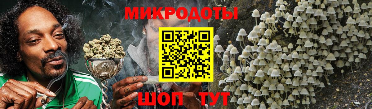 Каменка  Псилоцибиновые грибы Psilocybe  Вход с VPN 